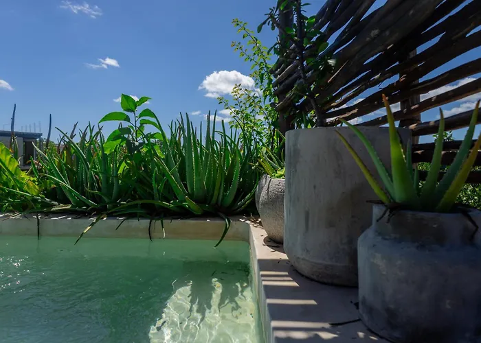 Teva Tulum, Aldea Zama Apartment