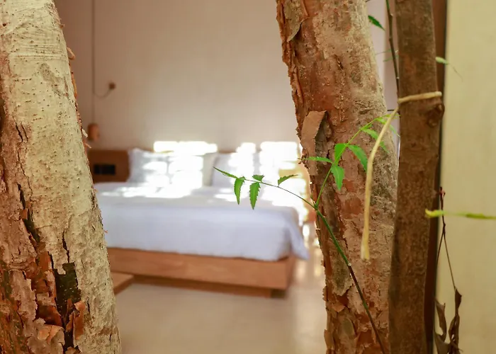 Teva Tulum, Aldea Zama
