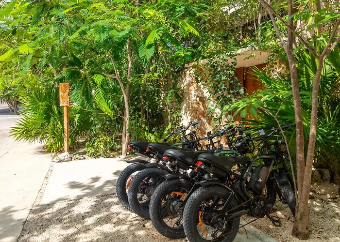 Teva Tulum, Aldea Zama Apartment Tulum